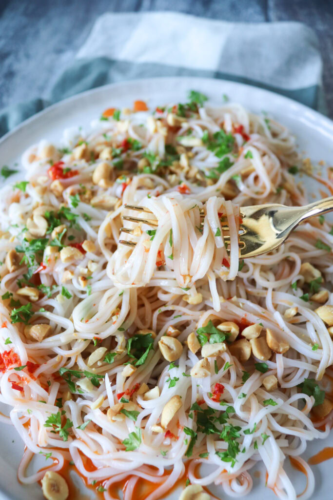 Lækker Nudelret Med Risnudler, Peanuts, Soya og Hjemmelavet Chiliolie