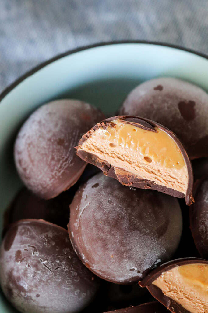 Hjemmelavet Toms Skildpadde Ishapsere