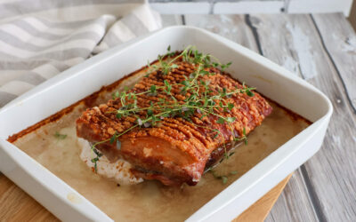 Langtidsstegt ribbensteg