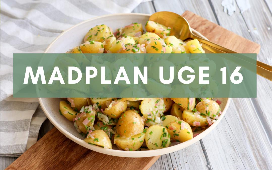 Madplan uge 16