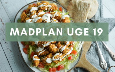 Madplan uge 19